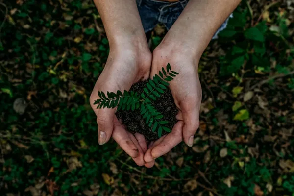 Compromiso de Islava con la sostenibilidad y el medio ambiente